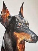 Obraz „Doberman” acryl