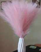 Różowa trawa pampasowa 40 sztuk 