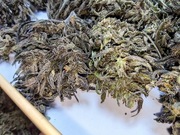 2025 5g 6.10% BlueBerry Legalny naturalny susz CBD od producenta