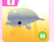 Beluga Whale Adopt me roblox
