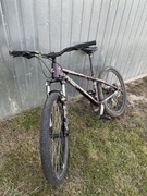 kellys whip 10 dirt enduro mtb dh