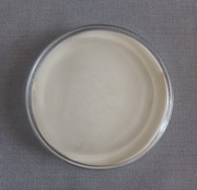 Bilownica tacka podkładka