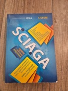 Ściąga zgodna z podstawą programową jezyk polski - liceum