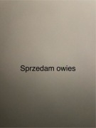 Sprzedam owies….