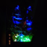 Lampa wodna skalniak oczko wodne