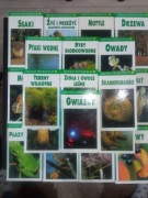 Zestaw encyklopedii przyrodniczych x 22