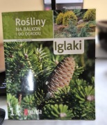 Iglaki - Ewa Chojnowska