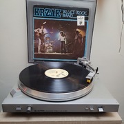 Krzak - Blues Rock Band LP Winyl 