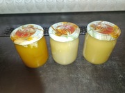 Miód Pszczeli naturalny słoik 500ml