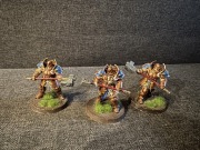 Stormcast Anihilators Age of Sigmar