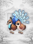 Peacocks Zestaw Adopt Me Roblox
