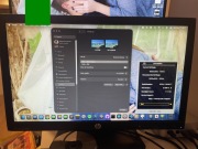 HP Compaq LA2006x monitor