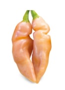 Papryczka NAGA MORICH SALMON NASIONA 5 szt. RARYTAS 