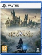 Hogwarts Legacy Ps5