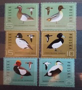 Znaczki polskie Fi 2850 - 55 Ptaki dzikie kaczki stan** z 1985r.