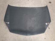 CLIO SPORT II RS 2.0 MASKA KARBON TRACK-DAY KJS