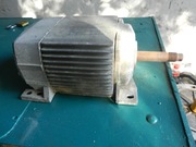 silnik elektryczny jamnik