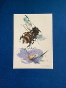 JANUSZ GRABIAŃSKI - POCZTÓWKA - „WESOŁY JANEK” - 1963 rok