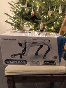 Inteligentny robot pies