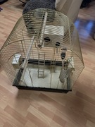 Klatka dla papug papugi ptaków