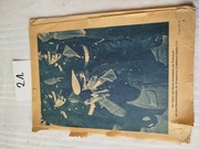 Gazeta dla Kriegsmarine "Fuhrer und Grossadmiral Raeder"