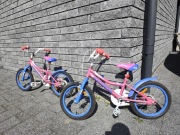 Rower indiana Roxy 16 