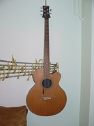 Bas elektroakustyczny DEAN EAB C5