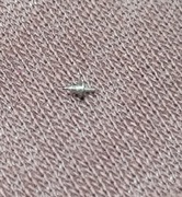 Os balansu Felsa 780