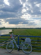 Rower miejski damski biały 