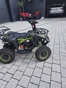 Mały gqad w dobrym stanie