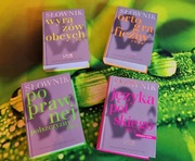 Zestaw słowników w twardej oprawie