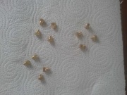 Dysze do kuchenki gazowej Indesit/Wihirlpool