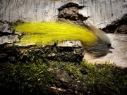 Streamer szczupakowy 20CM