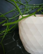 Doniczka mała okragla