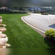 Trawnik z rolki, siany, pielęgnacja, nawodnienie