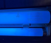 Świetlówka Narva 36W 120 cm niebieska