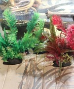 Rośliny sztuczne do akwarium 