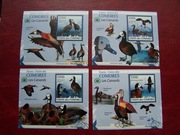 Komory 2009 MNH Fauna  Ptaki  Kaczki