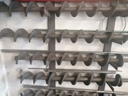 Ślimaki do pieca na Eko-Groszek