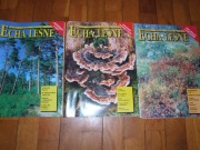 ECHA LEŚNE 7/97, 8/97