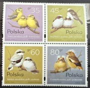 Fi 3419-3422  Pisklęta ptaków śpiewających