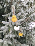 ZESTAW 5szt bombka ozdobna Kura Silka biała