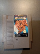 Tecmo World Wrestling Nintendo Nes
