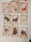 karty do gry Theory11 Harry potter