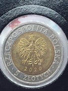 5  ZŁOTYCH. 2020