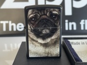 Zapalniczka Zippo Pug Face, mops, pies, Black Matte, NOWA