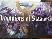 Champions of Slaanesh Warhammer 40K