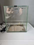 Akwarium dla krewetek