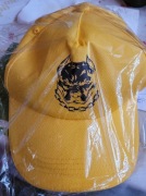 Czapka z daszkiem bejsbolówka Pitbull 