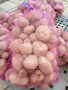 Ziemniaki Bellarosa pakowane 10kg